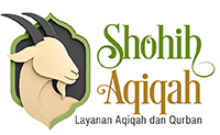 shohihaqiqah.com